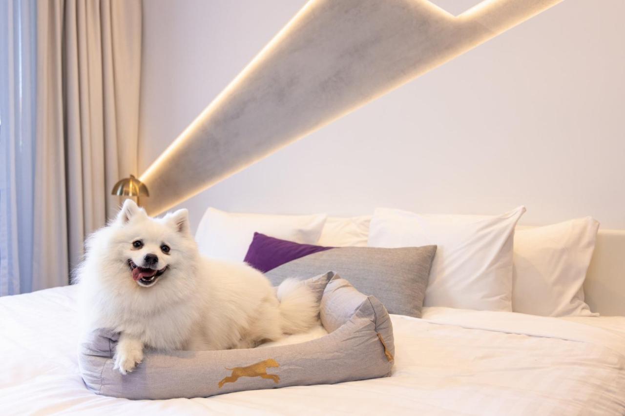 Hotel X Brisbane Fortitude Vly, Vignette Collection By Ihg Fortitude Valley